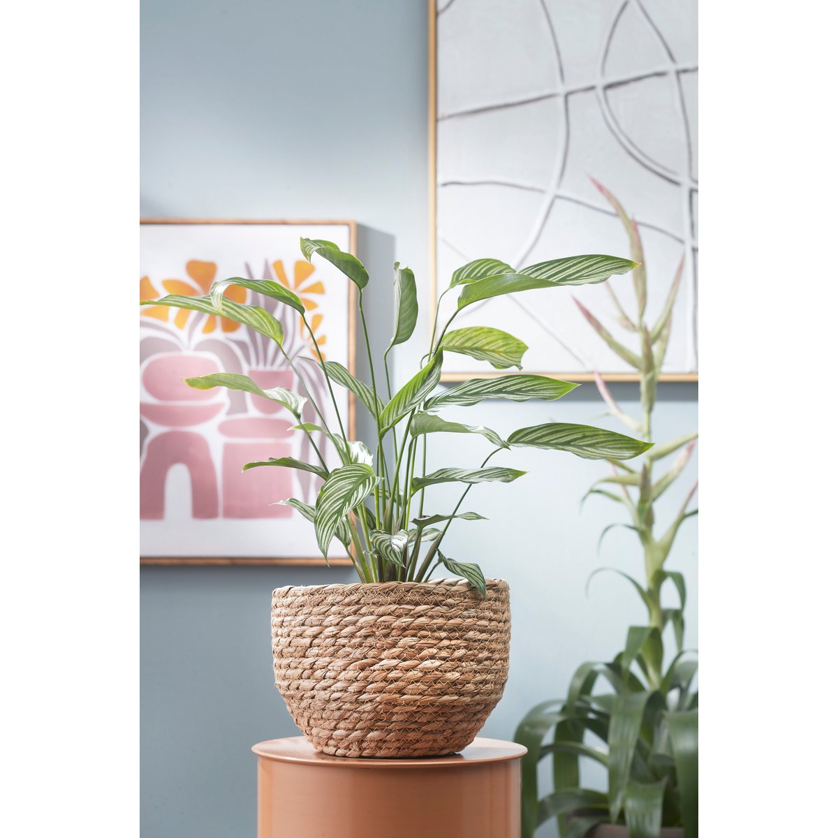 Jorck Plant Basket - Set of 3 - H24 x Ø26 cm - Light Brown