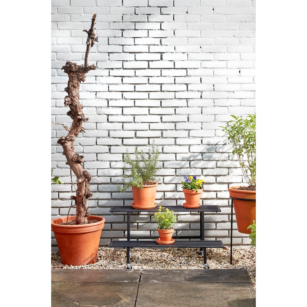 Greenrax Plant table - L90 x W44 x H42 cm - Metal - Black