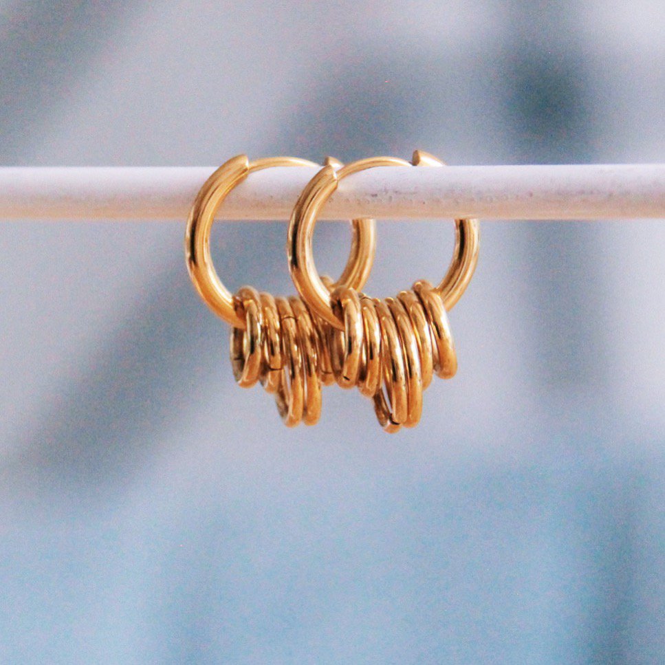 Earring with rings