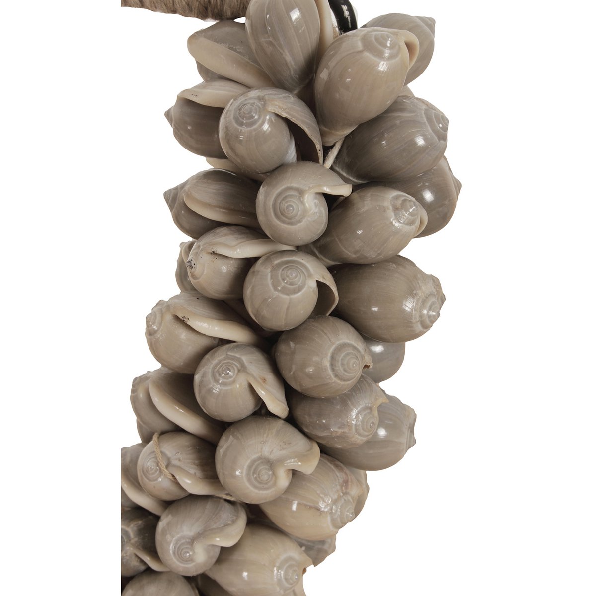 J66 Kleine schelpenketting