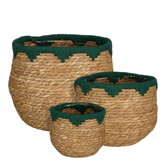 Jorck Plant Basket - Set of 3 - Green
